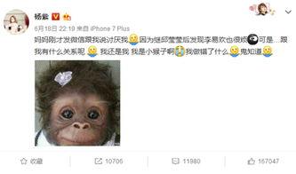 杨紫微博爆料最新消息,揭秘某明星恋情真相